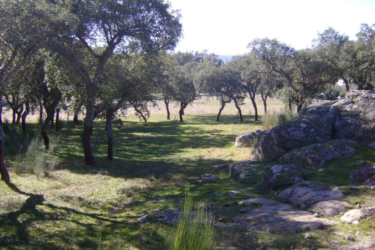 Tapada da Beirã Villa Marvao  Bagian luar foto