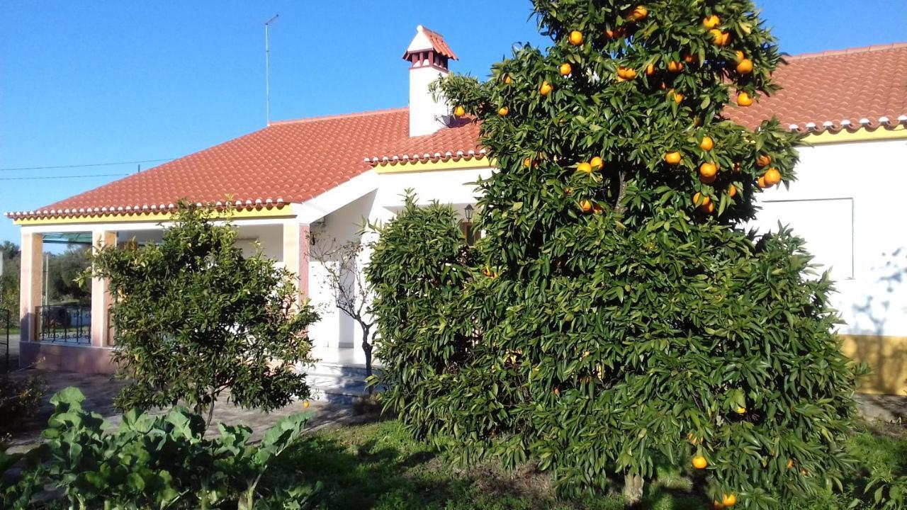 Tapada da Beirã Villa Marvao  Bagian luar foto